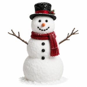 Real Winter Snowman